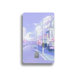 Pastel Lofi Street Card Skin