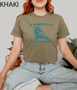 It is What It is and It is Not Great Shirt_ Vintage Sweatshirt_ Raccoon Sweatshirt_ Mental Health T-shirt_ Funny Shirt Women_ Comfort Colors