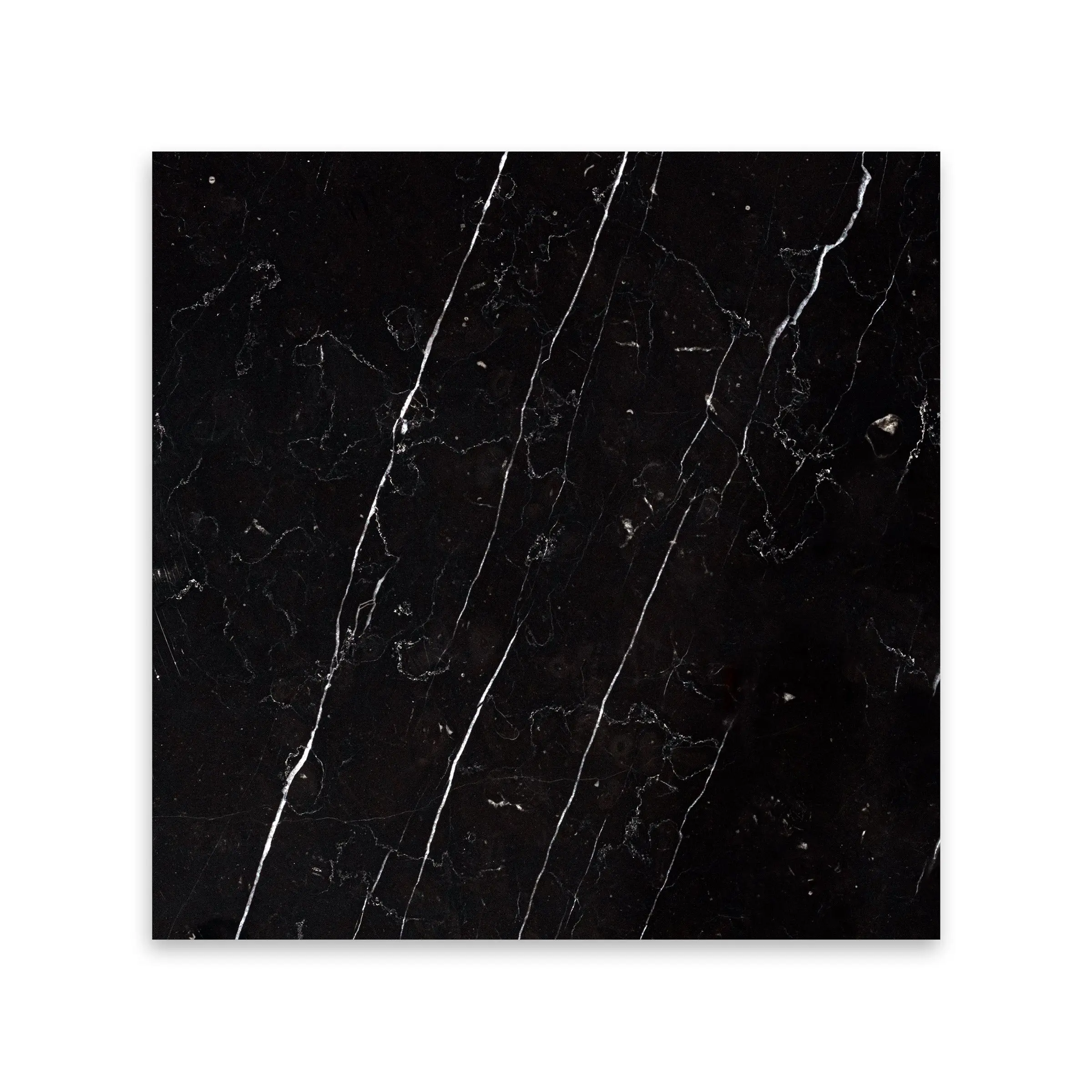 Nero Marquina 12×12 Polished/Honed Marble Field Tile
