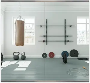 Home Gym Mirror, 48" x 24" x 2PCS, Wall Mounted Frameless Mirror with Polished Edge, Large Activity Mirror for Home Gym/Yoga Room/Dancing Room and More (48" x 24", 2PCS)