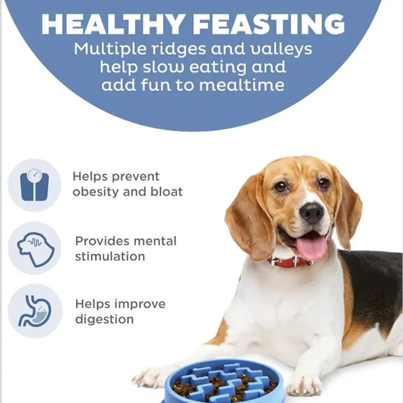 2‑Cup Capacity, Slow Feeding, Small to Medium Dogs & Cats, Non-Slip, Blue, Notch Pattern