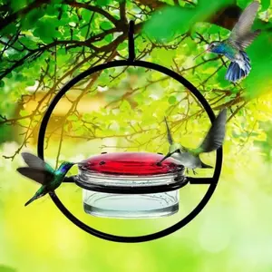 Beautiful Hanging Hummingbird Feeder Set, Metal Bottle Hummingbird Feeder with Round Metal Frame and Perch, Garden Decor, Bird Feeding Station, Bird Nectar Feeder