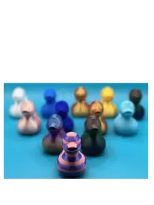 Dozen Medium Multicolor Ducks