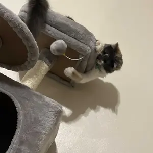 Sweetcrispy Cat Tree with Cat Condo and Big Hammock - 22.44"x13.78"x39.37"H, Faux Fur, Natural Sisal Posts, Hanging Ball, Removable Hammock