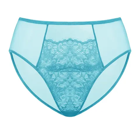 Live Only HSIA Sunflower Floral Lace Sheer Mesh Back Bikini Underwear High-Rise Brief Matching Panty