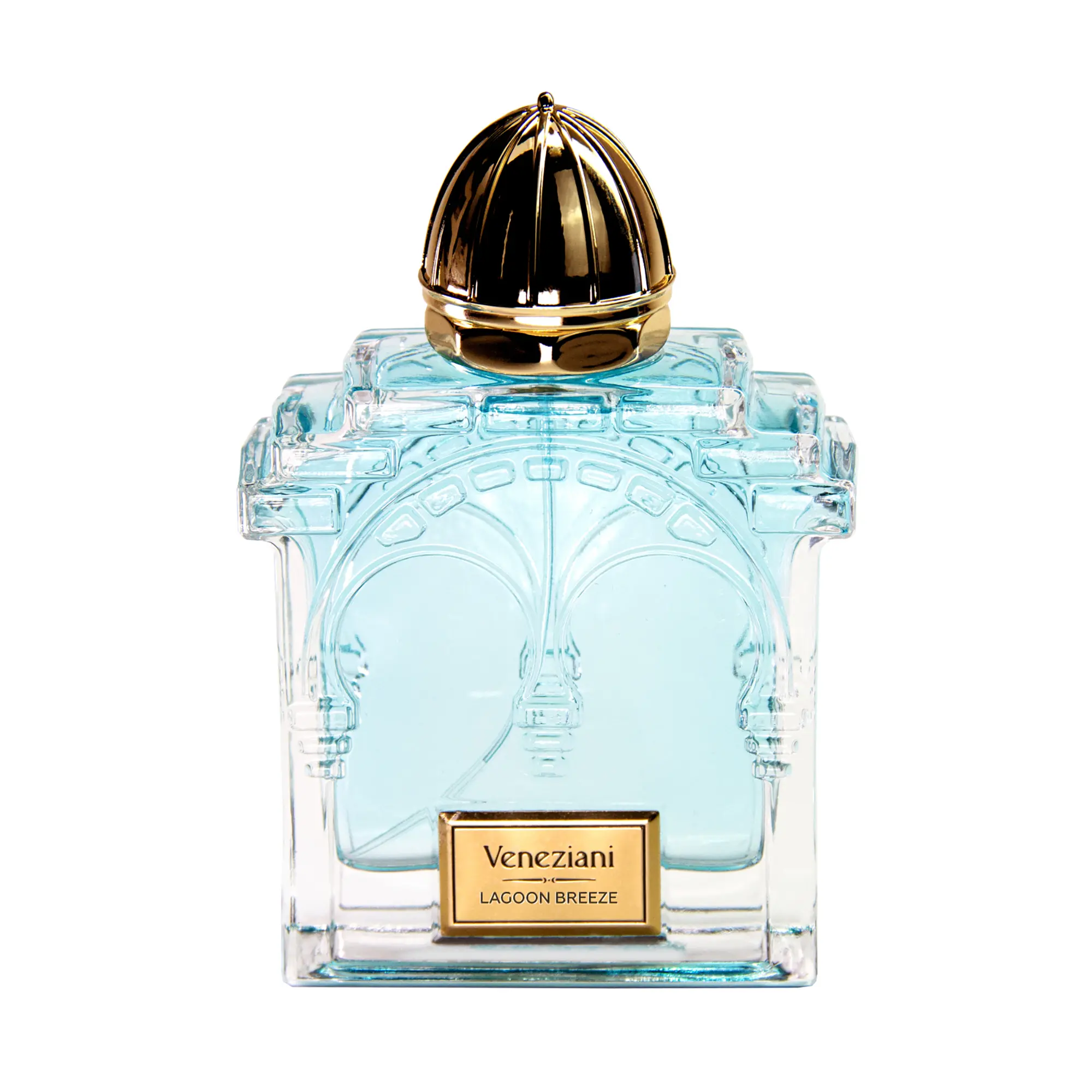 Lagoon Breeze by Veneziani for Men - 2.5 oz EDP Spray