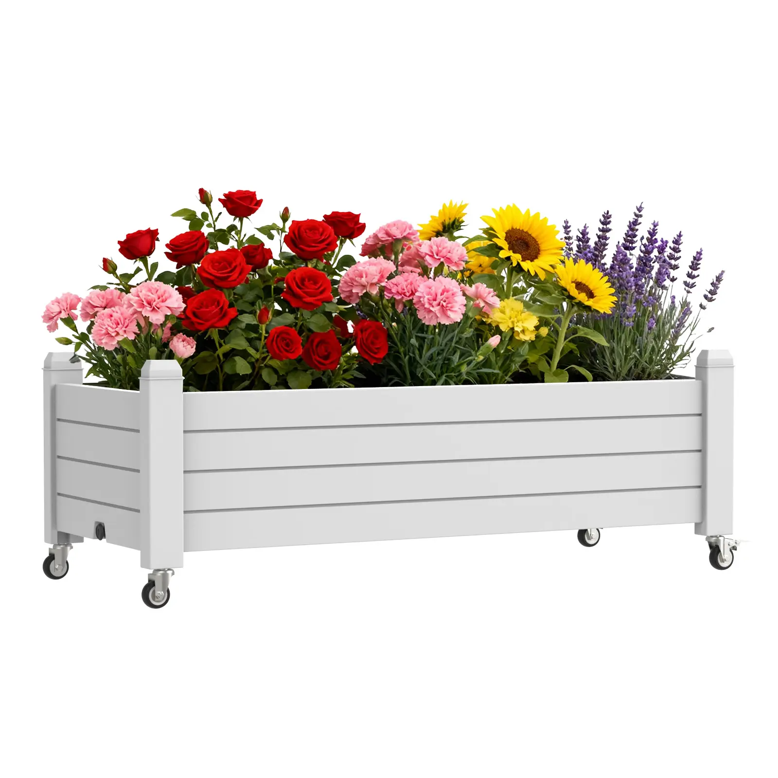 best plants for pots Best Plants for Pots