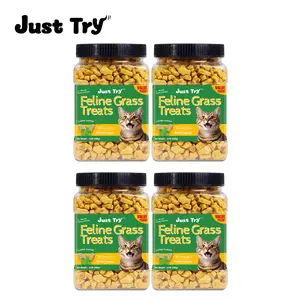 JUST TRY 4PCS Cat Treats for Indoor Cats Hairball Control Natural Salmon Healthy Cat Grass Treats Kitten Snacks Training Biscuits Catnip for Cats Dental Care 13.4 OZ