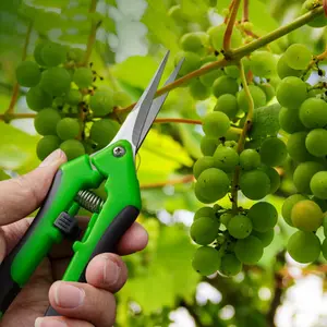 Household Scissors, Grape Scissors, Fruit Picking Scissors, Flower Gardening Pruning Scissors, Stainless Steel Effortless Garden Fruit Tree Tools Scissors