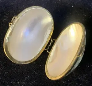 Gem of a Seashell Box