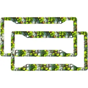 2 Pcs Car License Plate Frames for Women Men - Aluminum Solid Turquoise Vine Print License Plate Cover for Car Accessories for Women Men with Fasteners and Screws ﻿