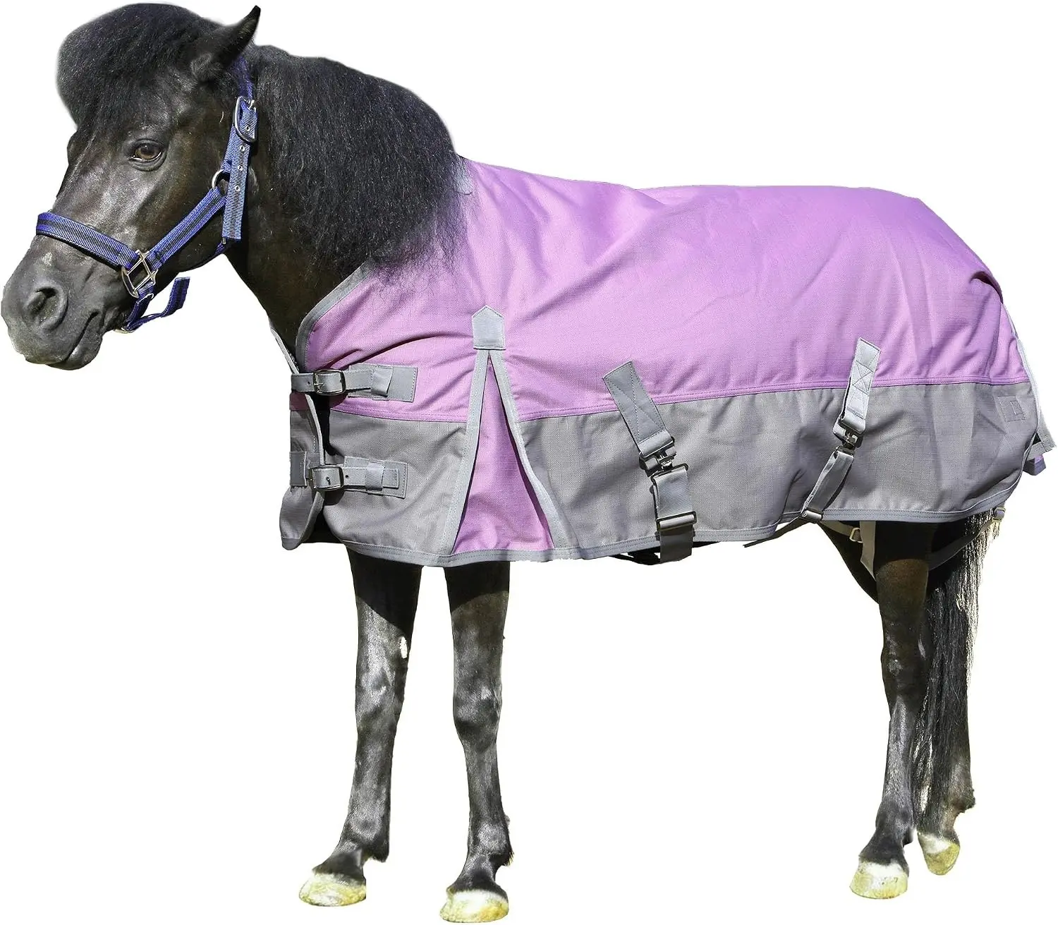 1200D Mini/Pony Horse Blanket, 200g Waterproof Winter Turnout | 1200D Ripstop Outer, Waterproof Breathable Shell, 200g Fill, Smooth Nylon Lining, Fits Foal/Weanling/Yearling/Donkey/Mule