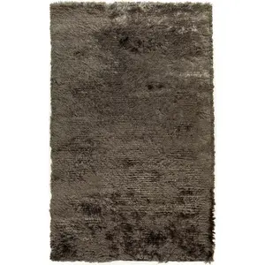 Erial Area Carpet - Clearance