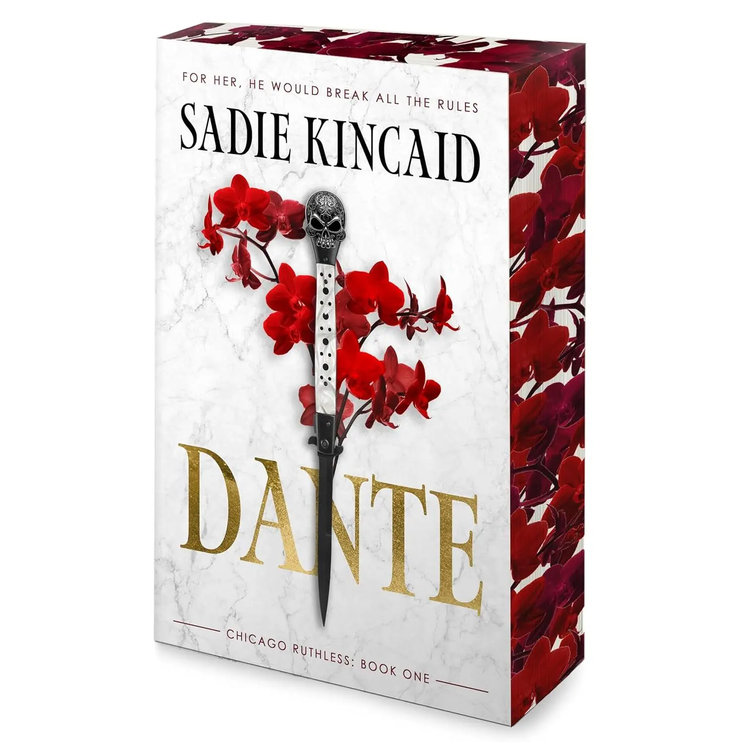 Dante: A Dark Mafia, Enemies to Lovers Romance (Chicago Ruthless, 1)