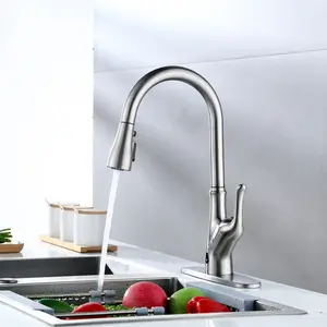 Clovis Goods Pull Down Touchless Kitchen Faucet
