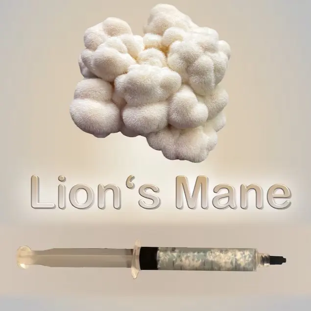 Lions Mane Mushroom Liquid Culture