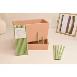 Plant Wick Sticks 10-Pack - User-Friendly Self-Watering Tool for Pots & Saucers - Consistent Hydration & Versatile Use - Perfect for DIY Propagation & Time-Saving Plant Care