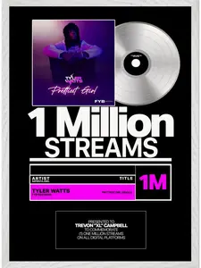 Personalized Music Plaque, Song Plaque, Custom Album Plaque, Music Frame Gift, Framed Music Poster, "PRINT" Vinyl Record Plaque