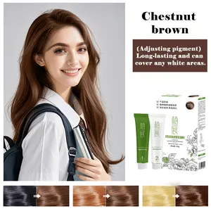 Zhi Zhan Chestnut Brown Hair Dye 200g Fruity Scented Plant Extracted Gentle Non Irritating Long Lasting Color for Haircare