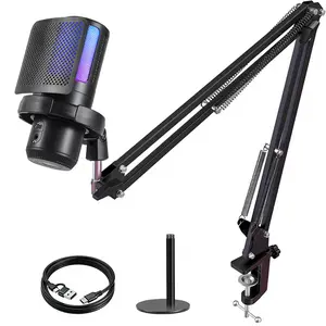 PC Gaming Noise-Canceling Condenser Microphone with RGB Light Mute Gain Control Dual Stands USB Type-C Dual Plug for Live Streaming Recording Podcast Chat