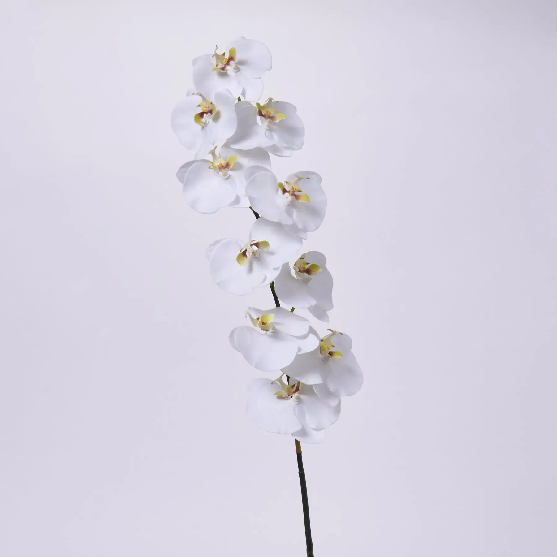 White Phalaenopsis Orchid Fake Flower Decor, Single Long-Stem Faux Floral Branch Spray - 53"