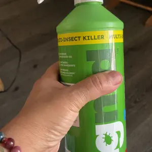 BugMD Flea & Tick Concentrate (3.7 oz, 2-Pack) – Plant-Based Formula for Pet Areas, Safe for Use Around Dogs