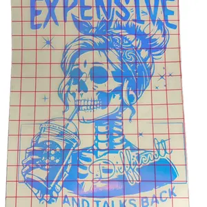 Expensive, difficult and talks back decal