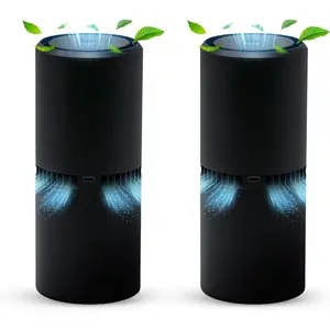 Small Ionic Air Purifier for  & Bedroom - Silent HEPA Filter - Covers 250 Sq Ft - Free Cleaner for Pets, Hair, , Dust, Odors & Dander - Compact & Black Design - Pack of 2