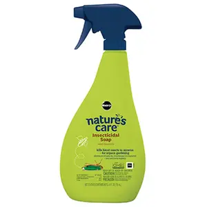 Miracle Gro 0747210 Insecticidal Soap- 24 oz.
