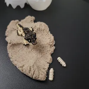 Mini Egg Crested Gecko Desk Decor Bundle