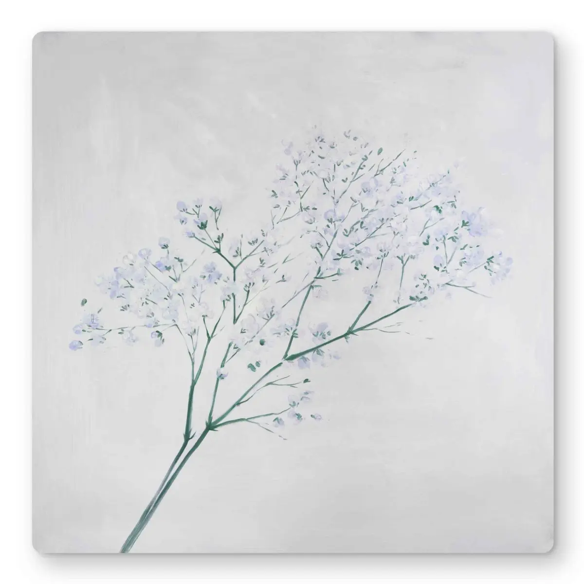 212 MAIN 16x16 in. Lightweight Aluminum Metal Print - Modern Baby’s Breath Flower Bouquet Artwork, Modern Floral Paintings, Nature-Inspired White Bathroom Home Decor