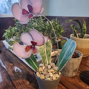 Stained Glass Orchid