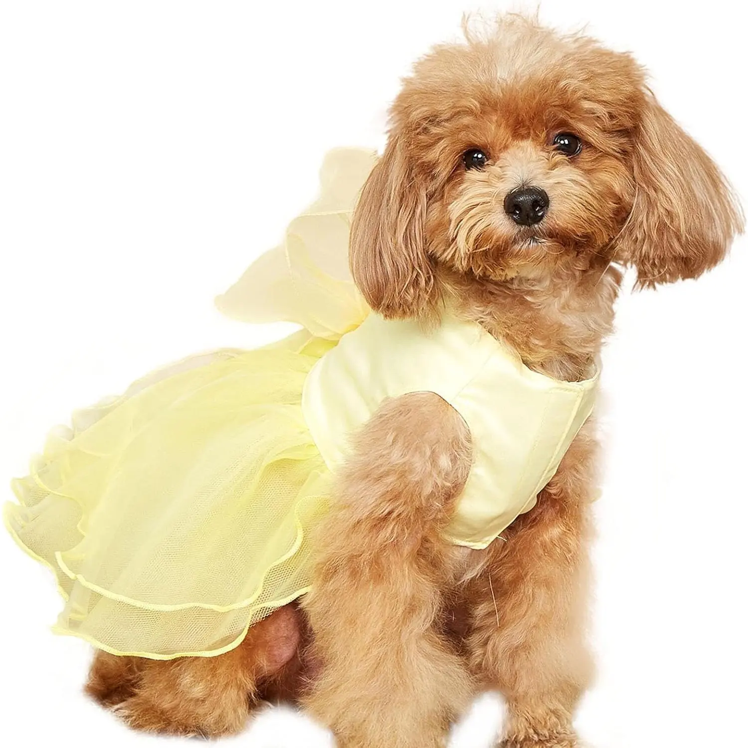 Dog Princess Dress for Small Medium Dogs Summer Girl Puppy Tulle Dress Formal Pet Wedding Party Birthday Outfit Yellow XS