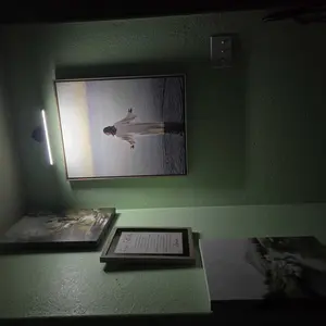 review image 5