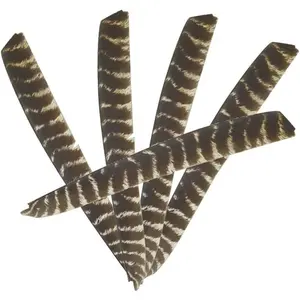 30 Pieces Full Length Turkey Feather Archery Arrow Fletching 7-11 Inch Spiral Twist Wrap Feathers Right Wing Fletches for DIY Flu Flu Arrows