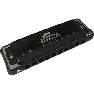 Bushman Roundhouse Harmonica 10 Hole Diatonic with Padded Zipper Case (A)