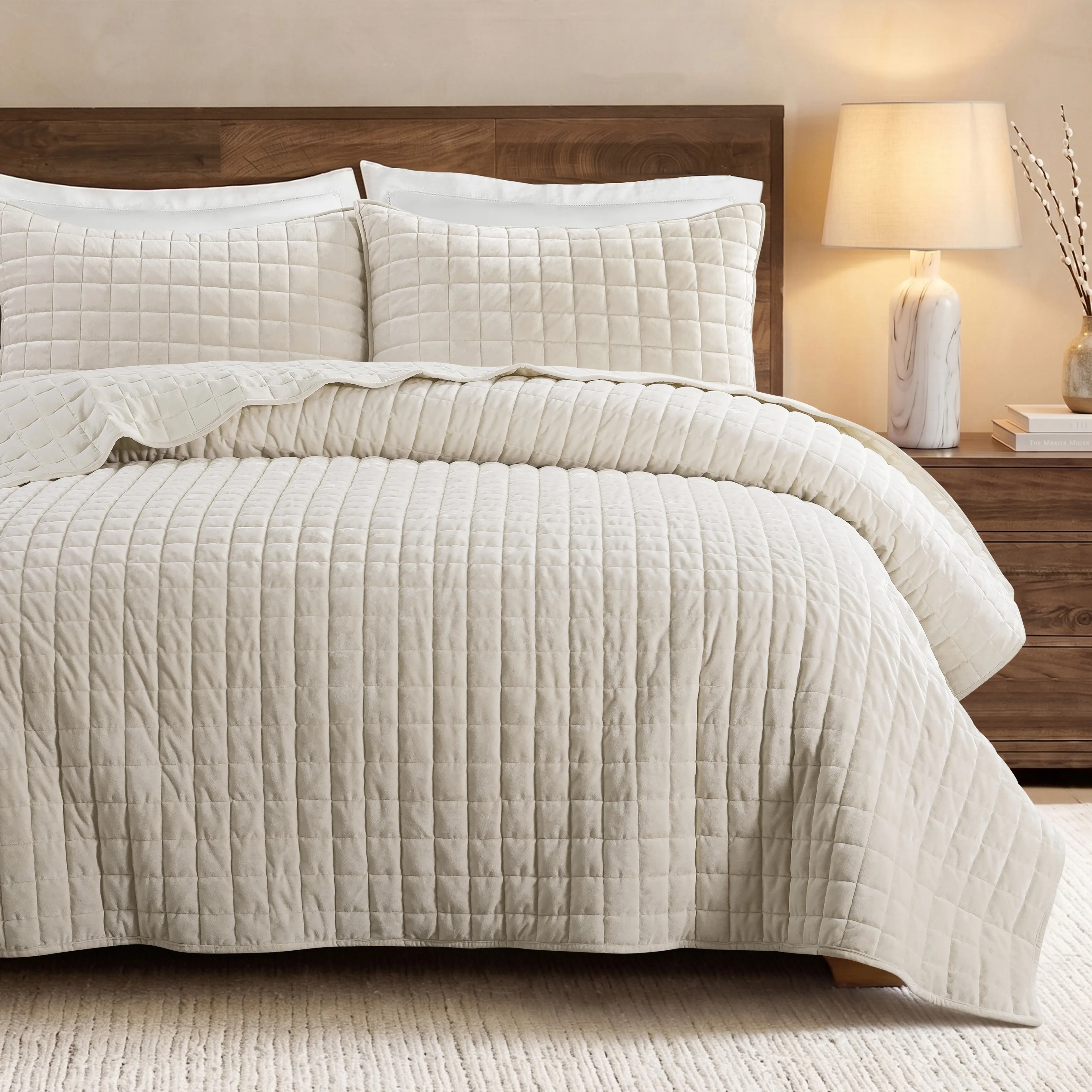 WDCOZY Velvet Queen Comforter Set with 2 Shams, Ultra Soft Lightweight Channel-Box Stitch Bedding, Luxury Style & Textured Modern Bedding Sets Collections, Oversized All-Season Bedspread Coverlet, Luxury Style Bedding Sets Collections,familyfun