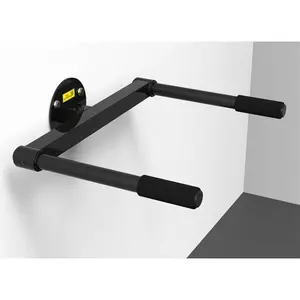 Wall-Mounted Pull-Up Leg Lift Trainer