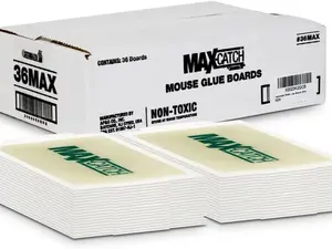 Catchmaster Max-Catch Mouse & Insect Glue Trap 36pk, Mouse Traps Indoor for Home, Sticky Pest Control Adhesive Tray for Catching Bugs, Rats & Rodents, Bulk Classic Glue Boards