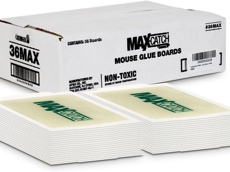 Catchmaster Max-Catch Mouse & Insect Glue Trap 36pk, Mouse Traps Indoor for Home, Sticky Pest Control Adhesive Tray for Catching Bugs, Rats & Rodents, Bulk Classic Glue Boards