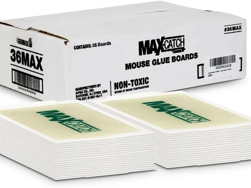 Catchmaster Max-Catch Mouse & Insect Glue Trap 36pk, Mouse Traps Indoor for Home, Sticky Pest Control Adhesive Tray for Catching Bugs, Rats & Rodents, Bulk Classic Glue Boards