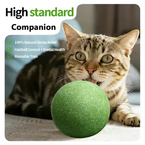 Large Natural Cat Toy Rolling Ball 10cm Diameter, Attracts Cats' Attention, Cleans Teeth, Companion Pet Toy, Fun Interactive Play for Cats, Stress Relief Toy