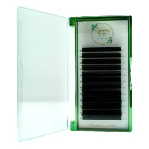 Gorgeous Lash Tray - Super Easy Fan false eyelashes