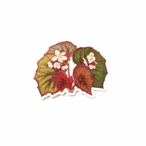 Begonia Vinyl Decal - Plant Stickers
