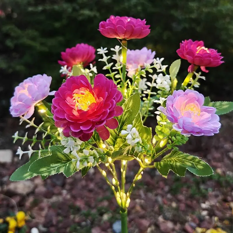 7 head snow lotus purple