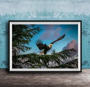 American Bald Eagle Print – Wildlife Photo Slate | Alaska Nature Art Decor