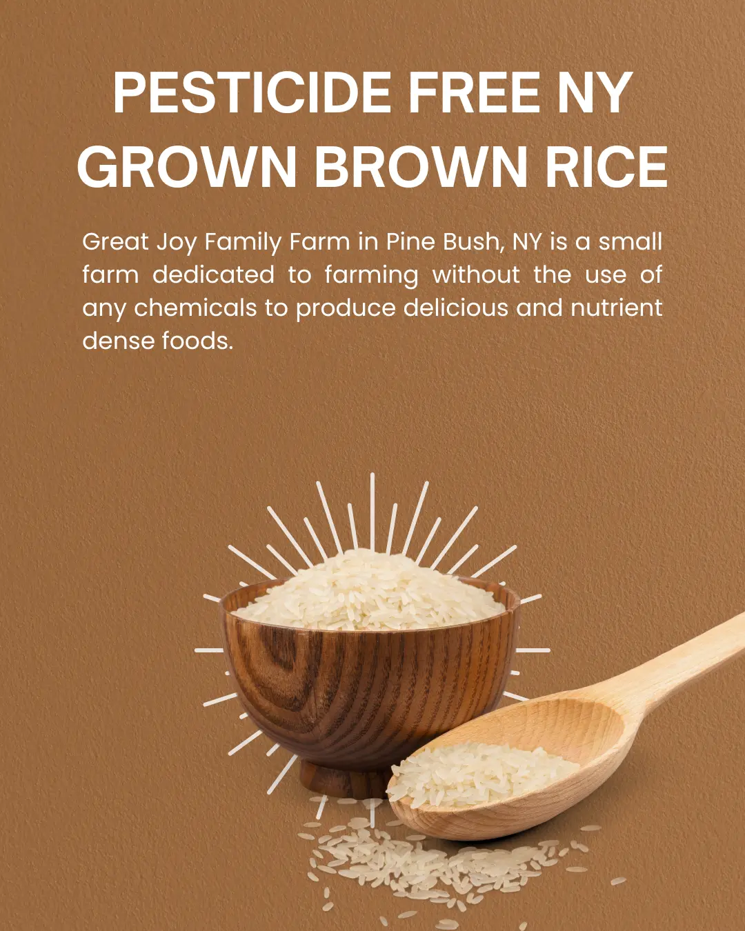 Great Joy Family Farm Pesticide-Free Brown Rice Grown in NY 1 lb Bag Organic Local Agriculture Pure Natural Choice