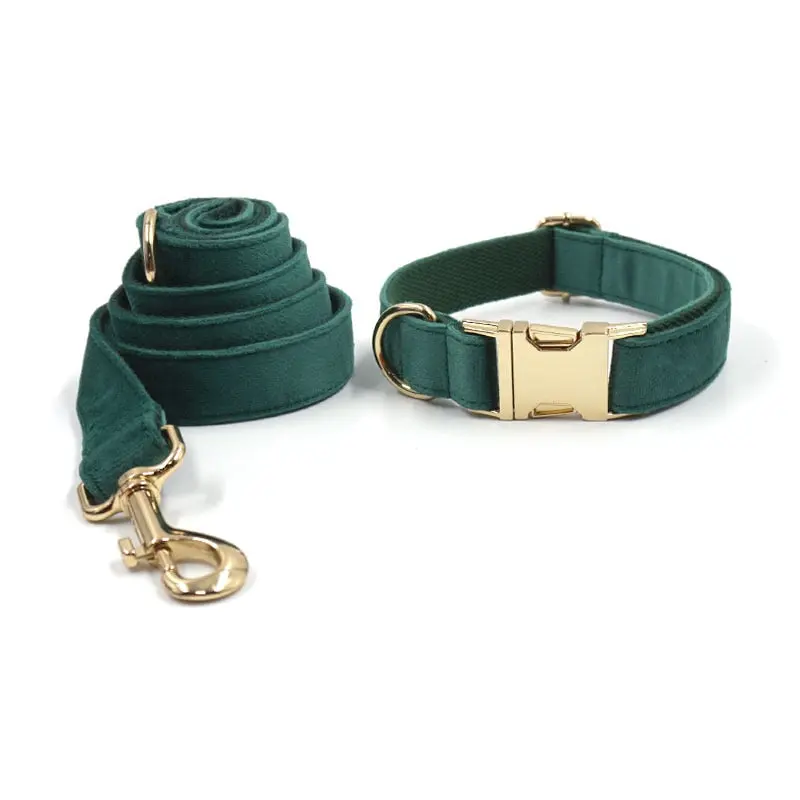 Gold  Buckle