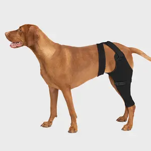Supet Dog Rear Leg Sleeve to Stop Licking