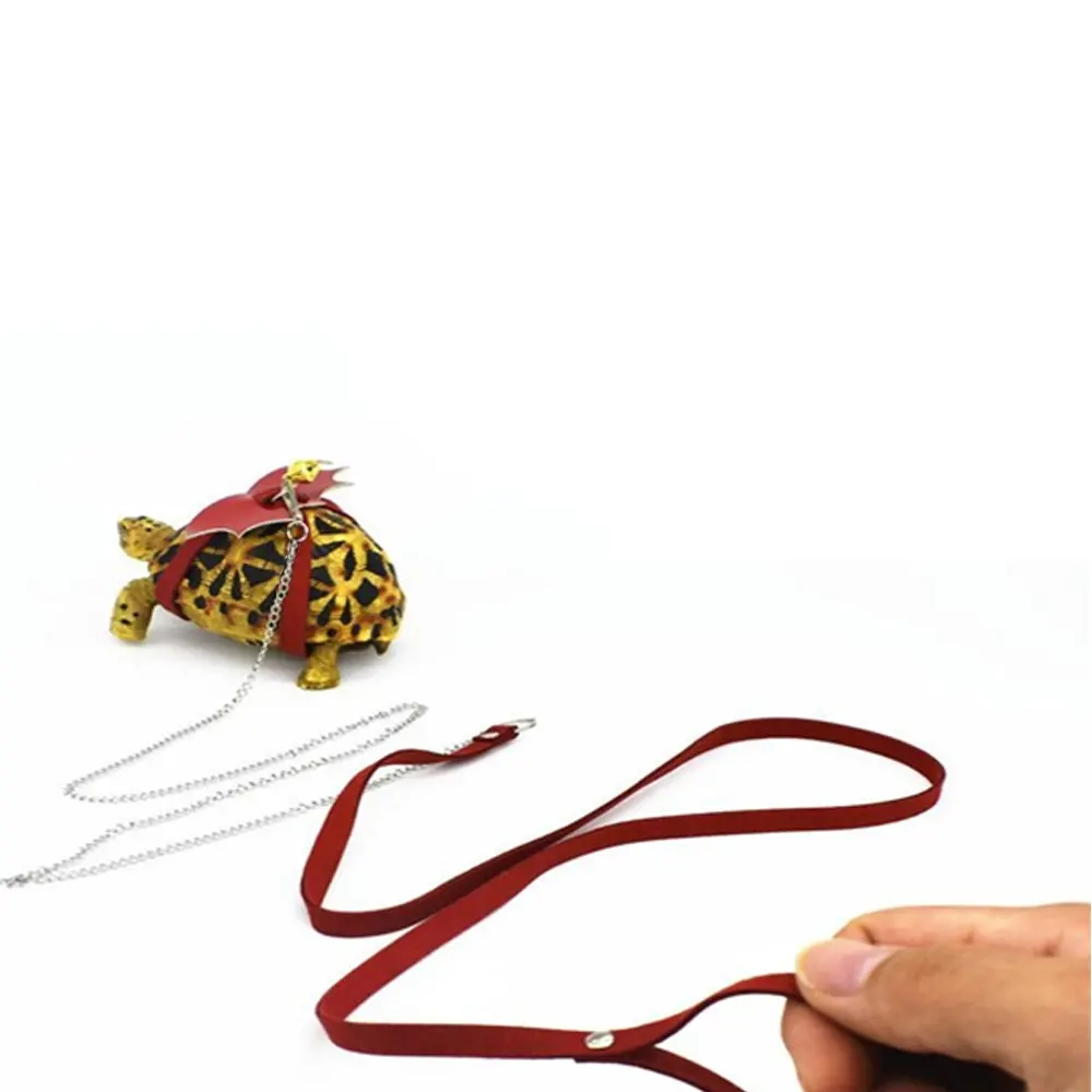 Turtle Leash for Small Pets, Reptile Harness for Outdoor Walks, Pet Lead for Small Animals, Comfortable and Durable Design, Walking Harness